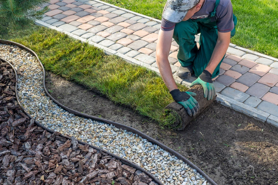 Design paysager dans le jardin de luxe arrière de maison résidentielle, paysage de joli jardin maison
