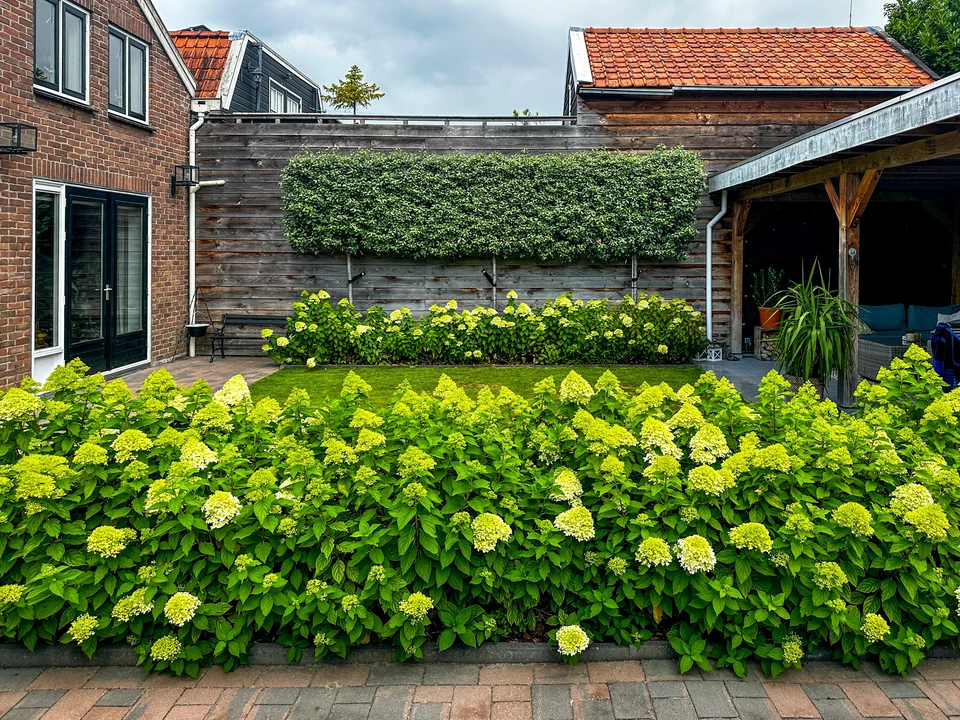 Lit élevé pour la culture de légumes frais et d'herbes aromatiques dans le jardin