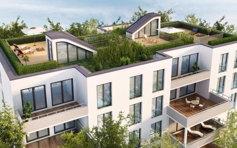 Comment réussir l'aménagement de votre jardin à Toufflers ?