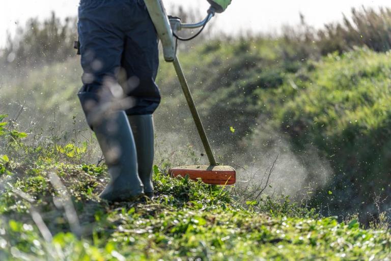 Le débroussaillage à Lys-lez-Lannoy, une étape clé pour votre jardin