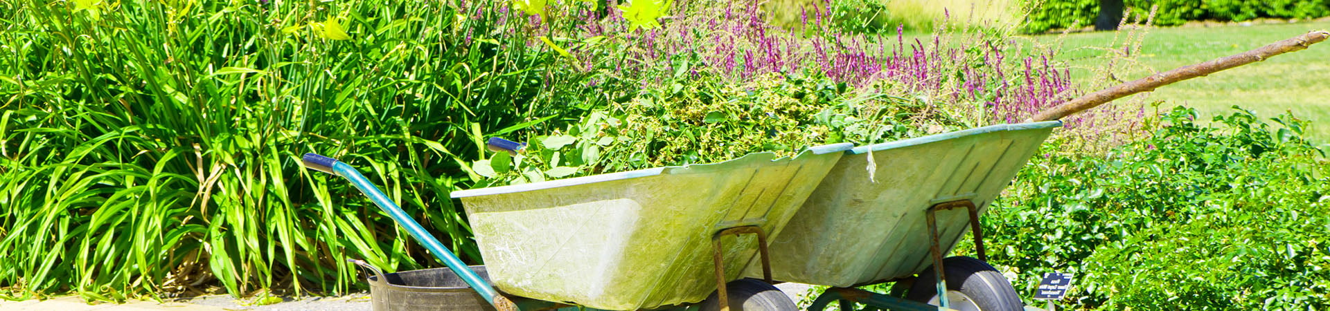 création de votre jardin